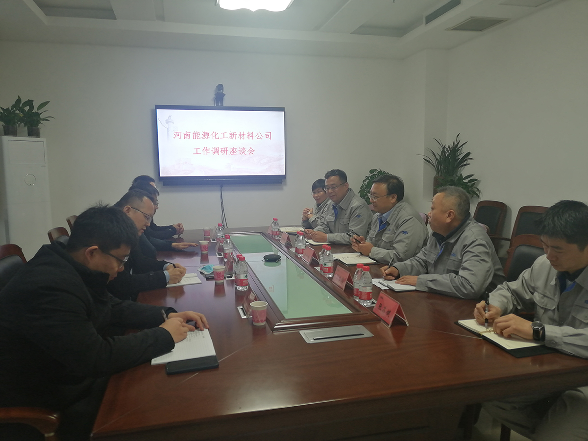河南能源化工新材料公司刘道龙书记调研 (2)